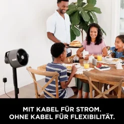 Shark FlexBreeze Pro Mist FA300EU schwarz