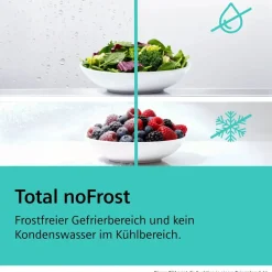 Siemens iQ300 KG39NVI Kühl-Gefrierkombination