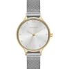 Skagen Anita Mesh