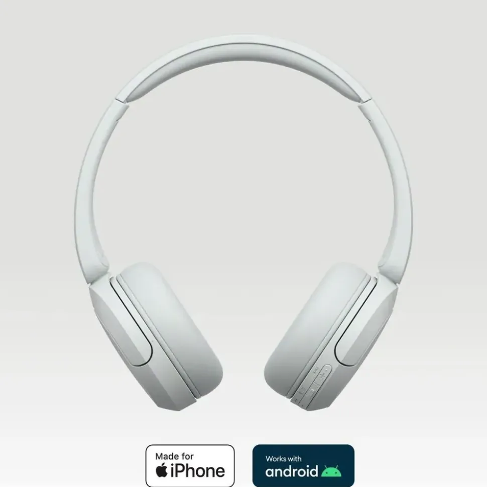 Sony WH-CH520