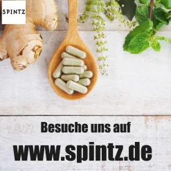 Spintz Zimt 168 g