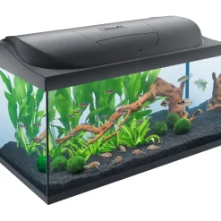 Tetra Starter Line 105 l Komplett-Set Schwarz