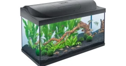 Tetra Starter Line 105 l Komplett-Set Schwarz