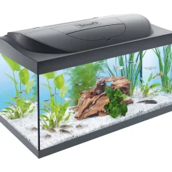 Tetra Starter Line 54 l Komplettset blau/schwarz
