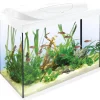 Tetra Starter Line 80,0 l Komplett-Set weiß