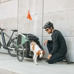 Thule Bexey M Hundeanhänger grün 2024