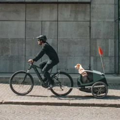 Thule Bexey M Hundeanhänger grün 2024