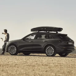 Thule Vector