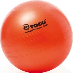 Togu Powerball Premium Blau 75 cm