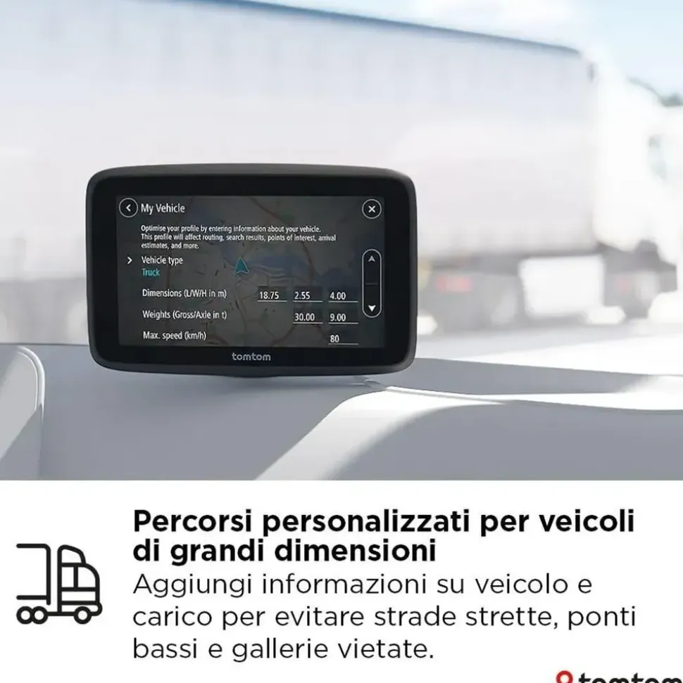 TomTom GO Professional
