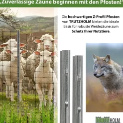 Trutzholm Zaunpfosten 10 x 200 cm Grau/Feuerverzinkt