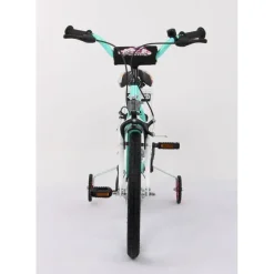 T&Y Trade PASSION GRN 18 Zoll RH 28 cm rosa