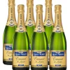 Veuve Amiot Cremant de Loire brut (6 x 0,75 l)