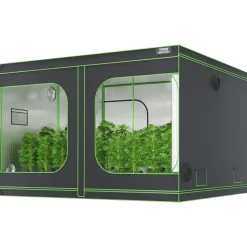 Vevor Growbox Gewächshaus 305 x 305 x 203 cm Schwarz, Grün