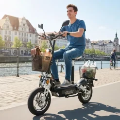 Viron VR-1500-EEC 1000 W 35 km/h Schwarz mit Korbset