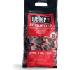 Weber Briketts