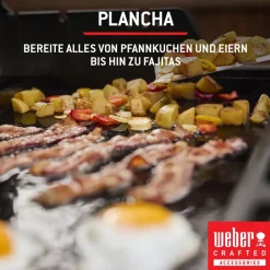 Weber Spirit E-325 GBS schwarz 1500895