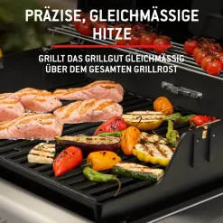 Weber Spirit E-325 GBS schwarz 1500895