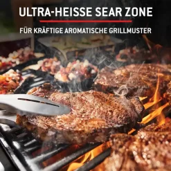 Weber Spirit E-325 GBS schwarz 1500895