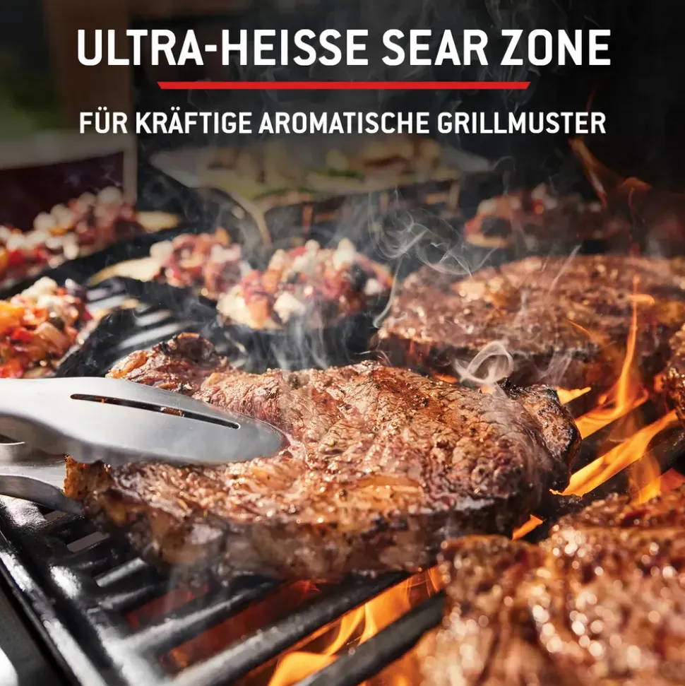 Weber Spirit E-325 GBS schwarz 1500895