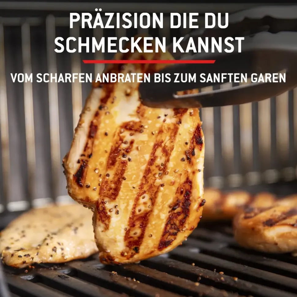 Weber Spirit E-325 GBS schwarz 1500895