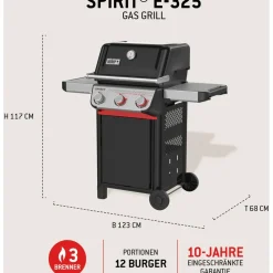 Weber Spirit E-325 GBS schwarz 1500895