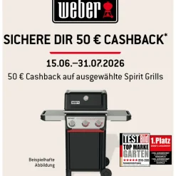 Weber Spirit E-325 GBS schwarz 1500895
