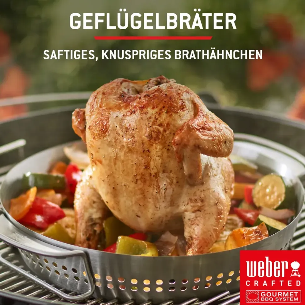Weber Spirit E-325 GBS schwarz 1500895