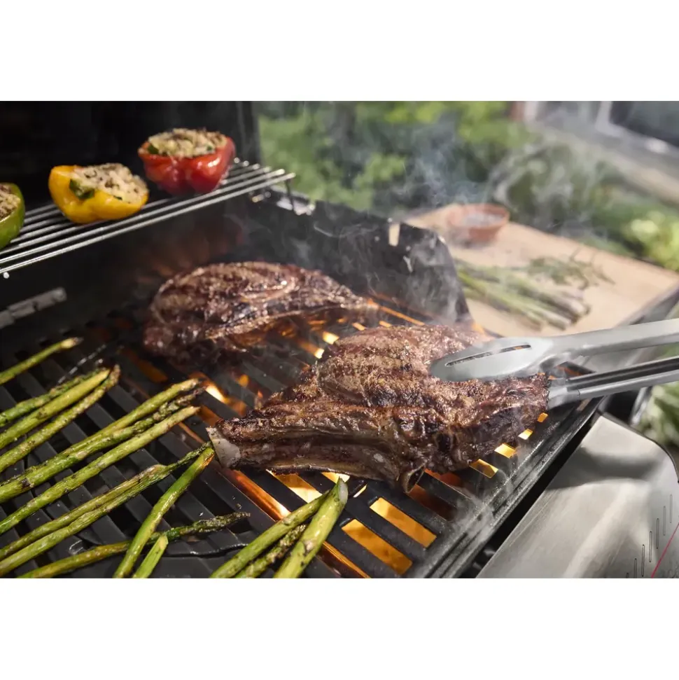 Weber Spirit E-310 schwarz 1500862
