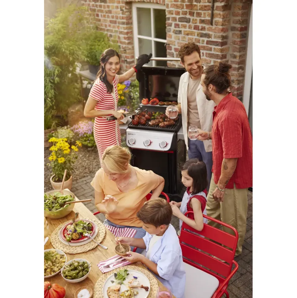 Weber Spirit E-310 schwarz 1500862