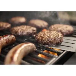 Weber Spirit E-310 schwarz 1500862