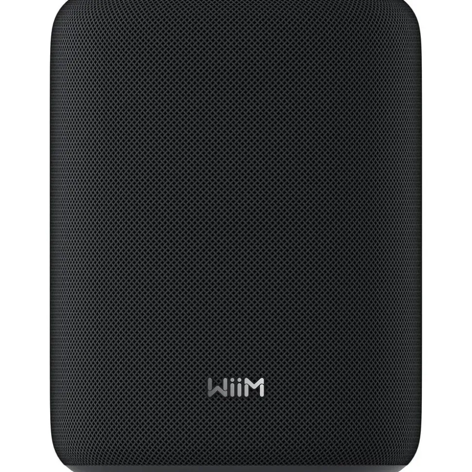 WiiM Sound Lite