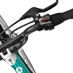 woom GO 4 20 Zoll metallic turquoise