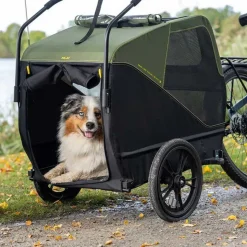 XLC Hundeanhänger BS-C12 grün/schwarz