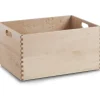 Zeller Allzweckkiste 40 x 30 x 21 cm 1-tlg. beige