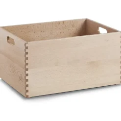 Zeller Allzweckkiste 40 x 30 x 21 cm 1-tlg. beige